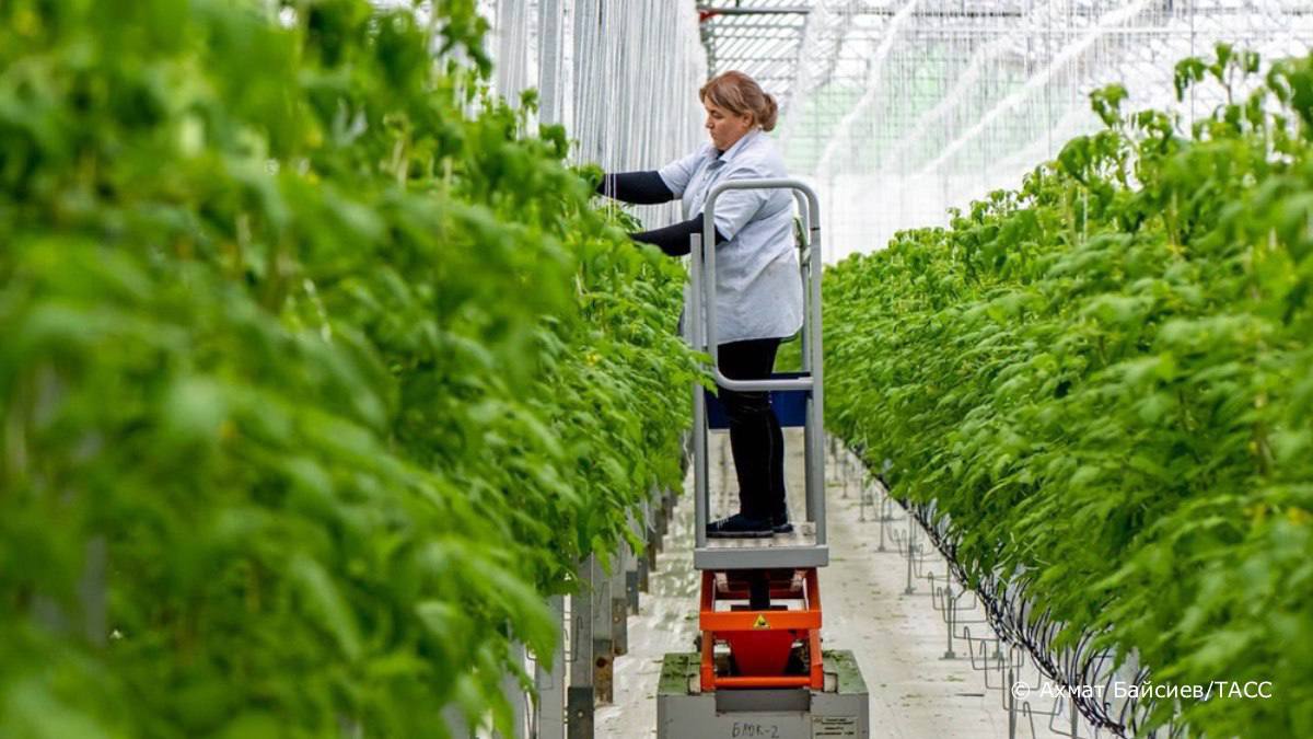 Татьяна 2/IMG_7994.jpeg